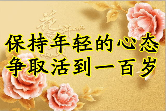 NIM战平表现不俗争取一分难得的简单介绍