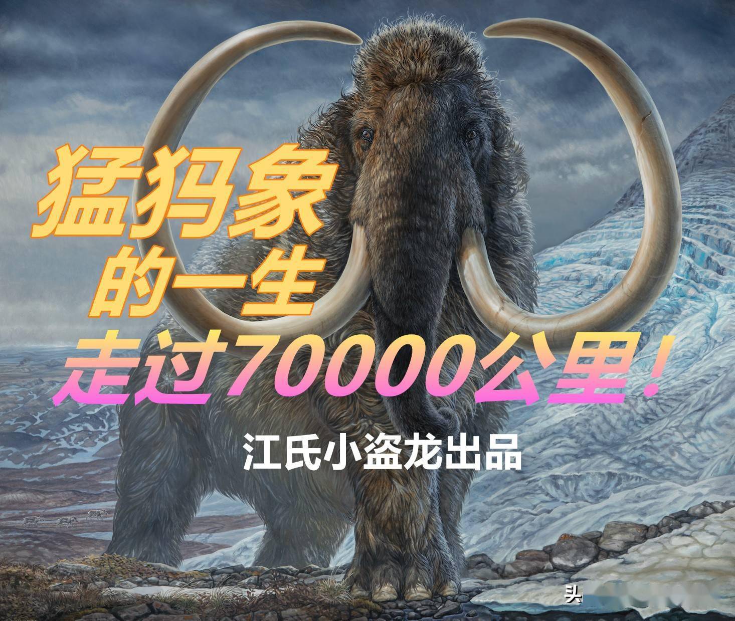 诺咸顿vs法尔基克：基者称王