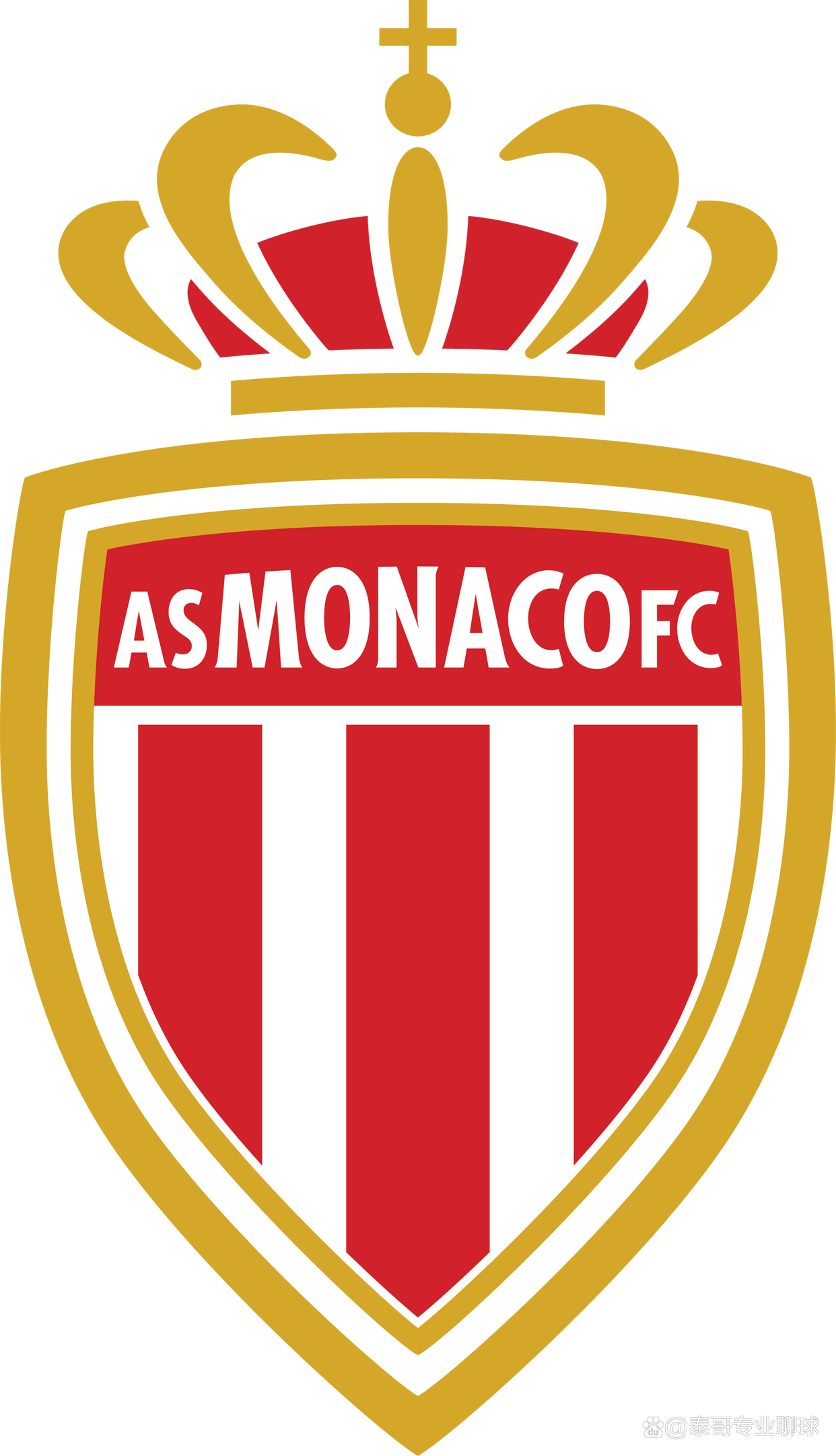 开云体育登录-图卢兹队连败，法甲排名下滑