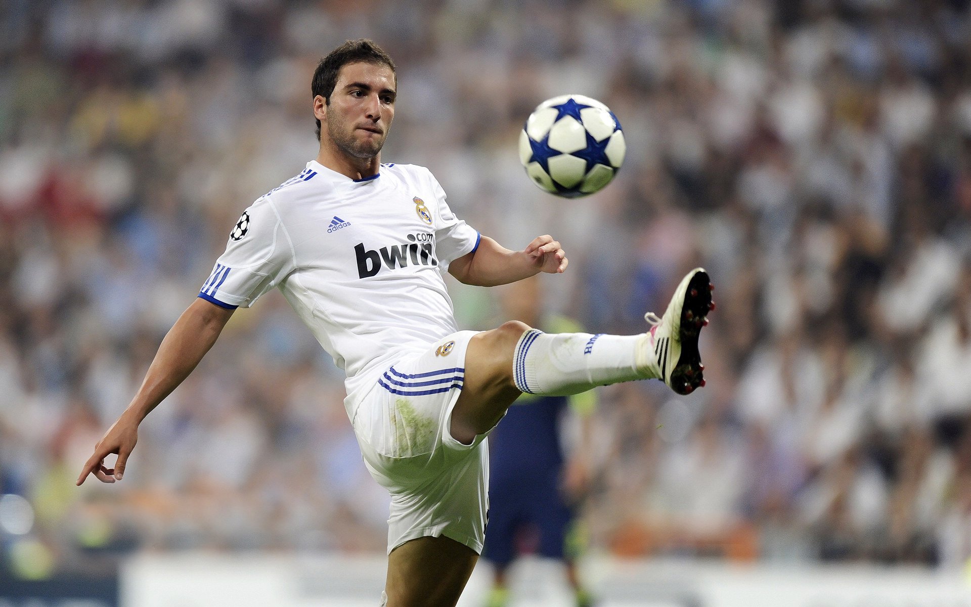 战术革新与极致攻防，解析2024体育开年两大启示