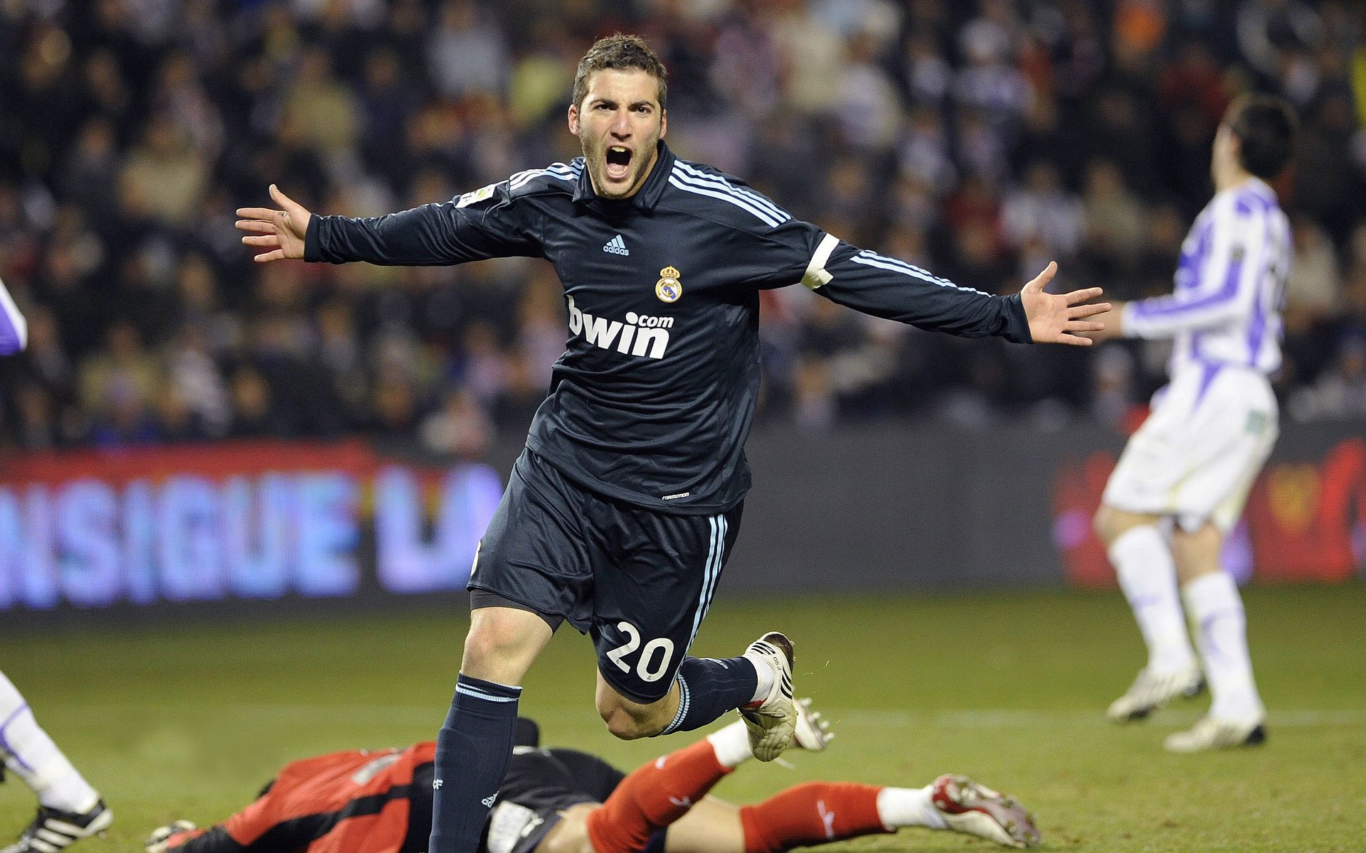 酒杯与利刃，当智利葡萄酒的醇厚，撞上波兰铁骑的锋芒